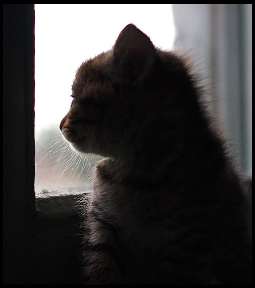 Екатерина Пискун