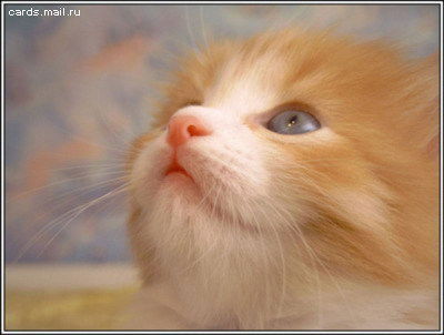 Анна Заикина