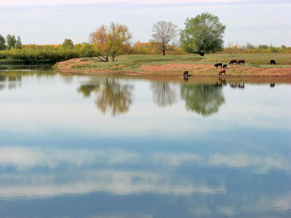 Ирина Дереча