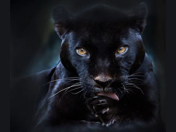 Наталия Ревунова