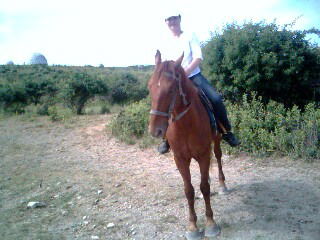 Елена Батова