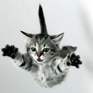 Ольга Плюснина