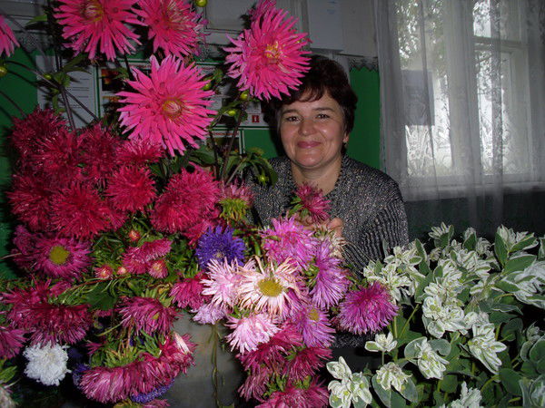 Елена Каширина