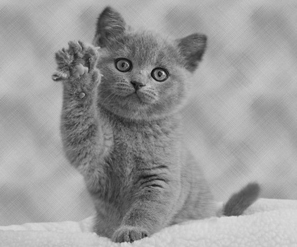 Инна Кунильская