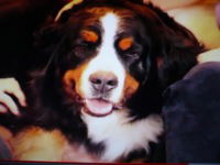 Александр Федоренко