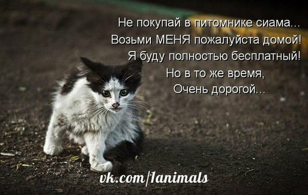 Альбина Куликовская