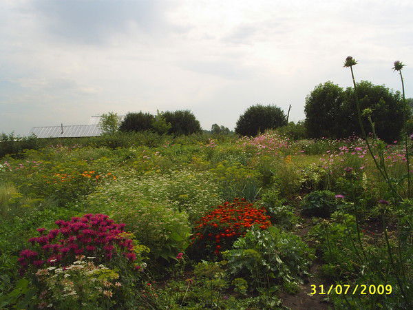 Наталья Любых