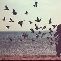 Яночка Литвинова