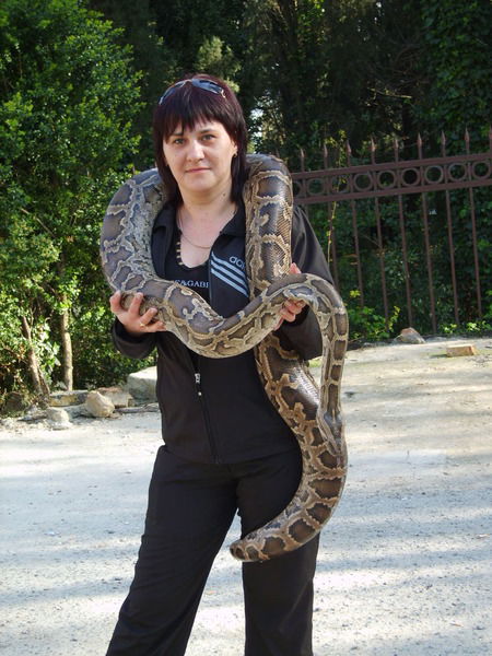 Эльвира Ерженинова