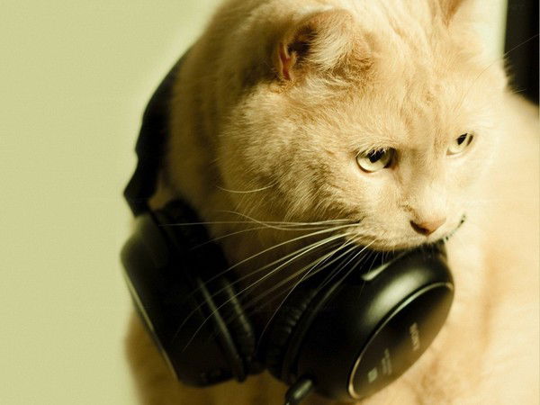 Никита Деев