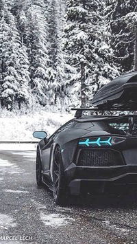 Коля Морозов