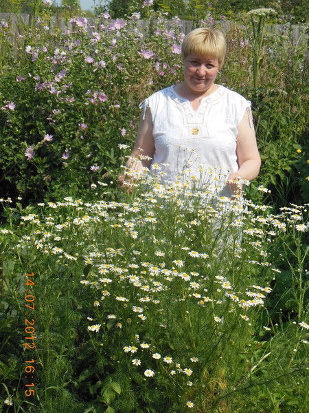 Надежда Надежда