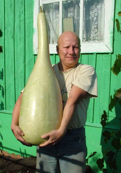 Тимур Кильметов