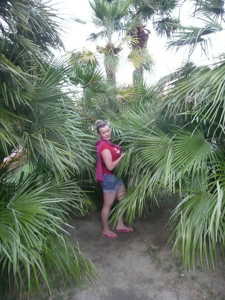 Маргаритка *****