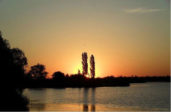 Алексей Елагин