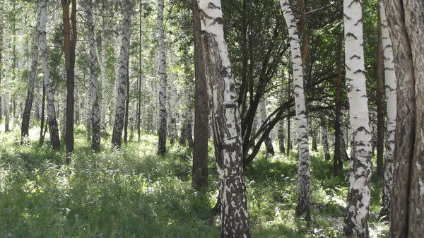 Егор Найдёнов