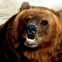 Осман Таймасханов