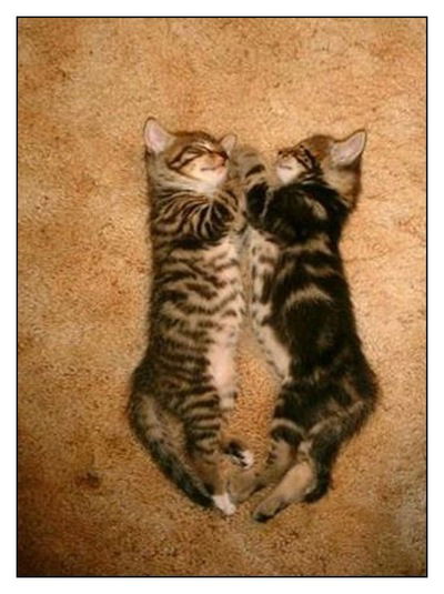 Марина Климочкина