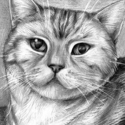 Настя Красникова