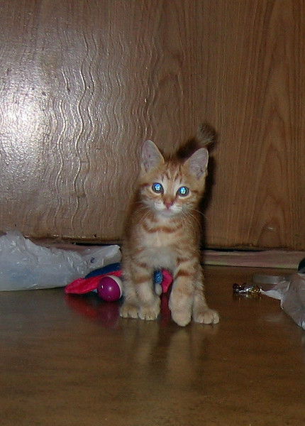 Танюшка Татьяна