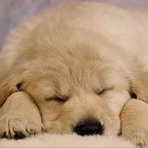 Мария Жильцова