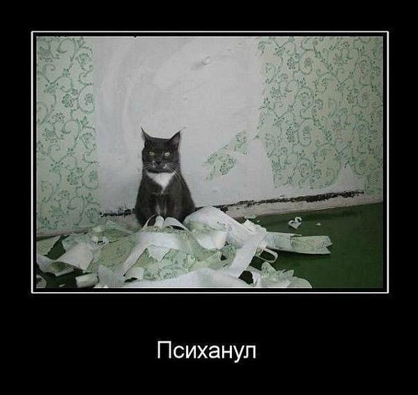 Максим Цыганков