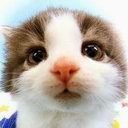 Анна Анненкова