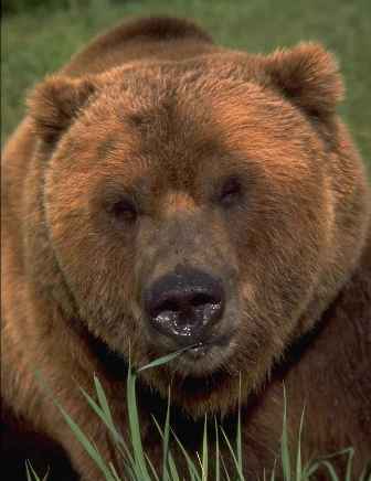 Михаил !!!!!!!!!!!!