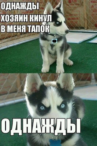 Никит Самарин