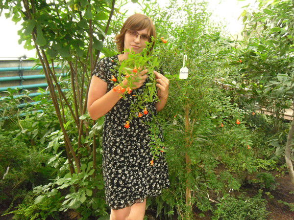 Наталья Новак