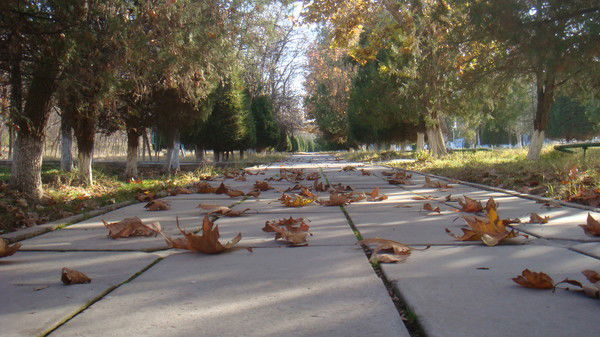 Сауле Темиртасова