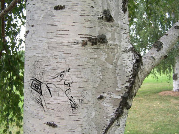 Мурат Лепшоков