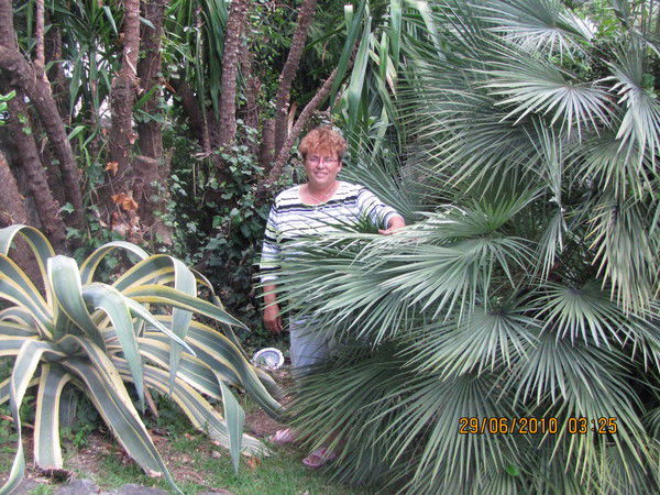 Ирина Янковая