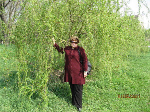 Светлана Закревская