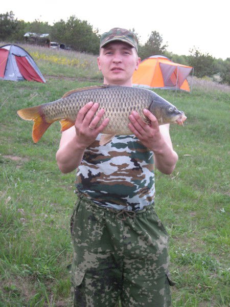 Михаил Шибин