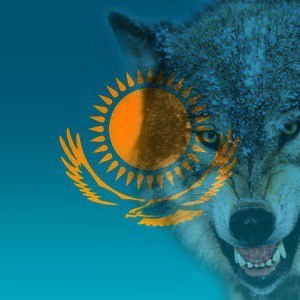 Нурлан Алгибаев