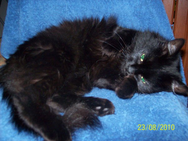 Виктория Василькова