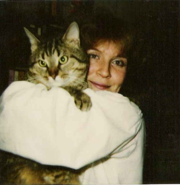 Елена Сайкина