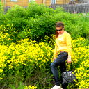 *****ocha***** ******