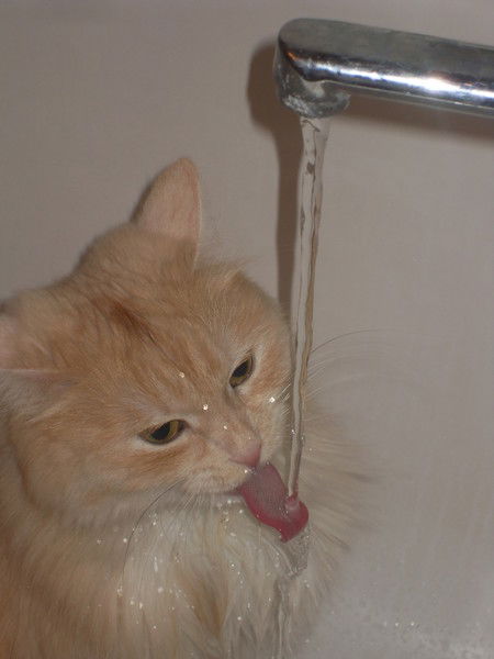 Татьяна Власова