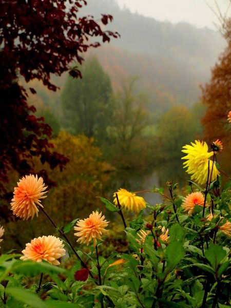 Саида Ханмагомедова