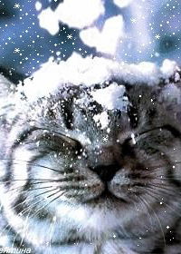 Стас Долгий