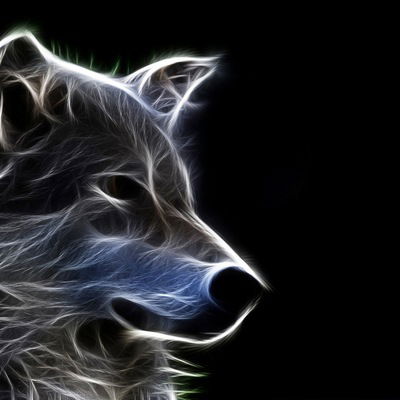 Санек Путников