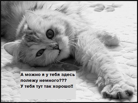 Майра Жапар