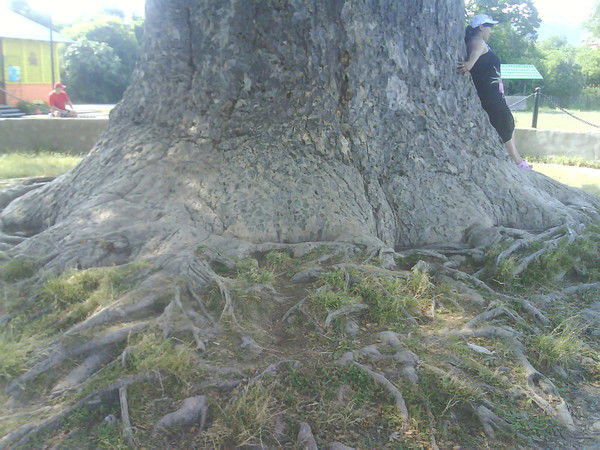 Андрей Кукушкин