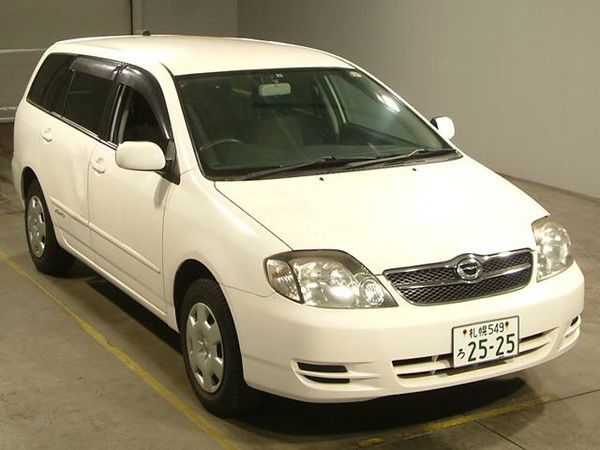 Никита Хорхорин