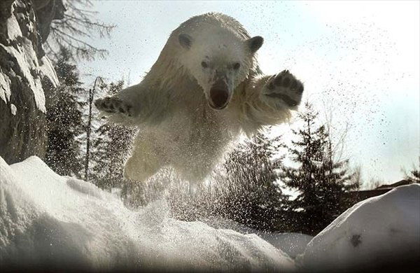 Дэн Хваранг