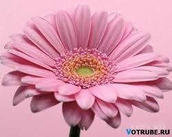 Баян Сейтбекова