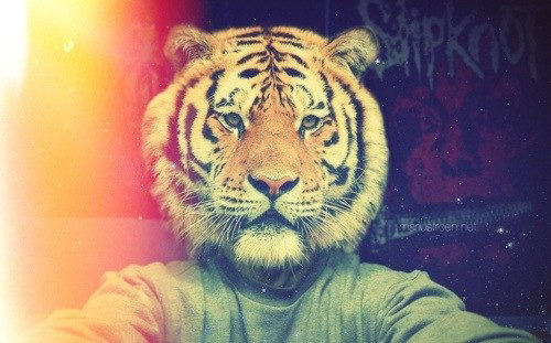 Инспектор Кот