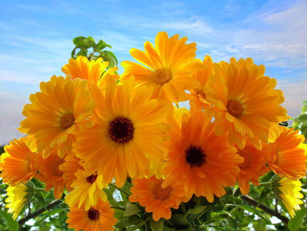 Людмила Нечаева